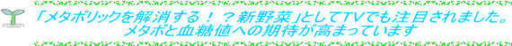 アイスプラント